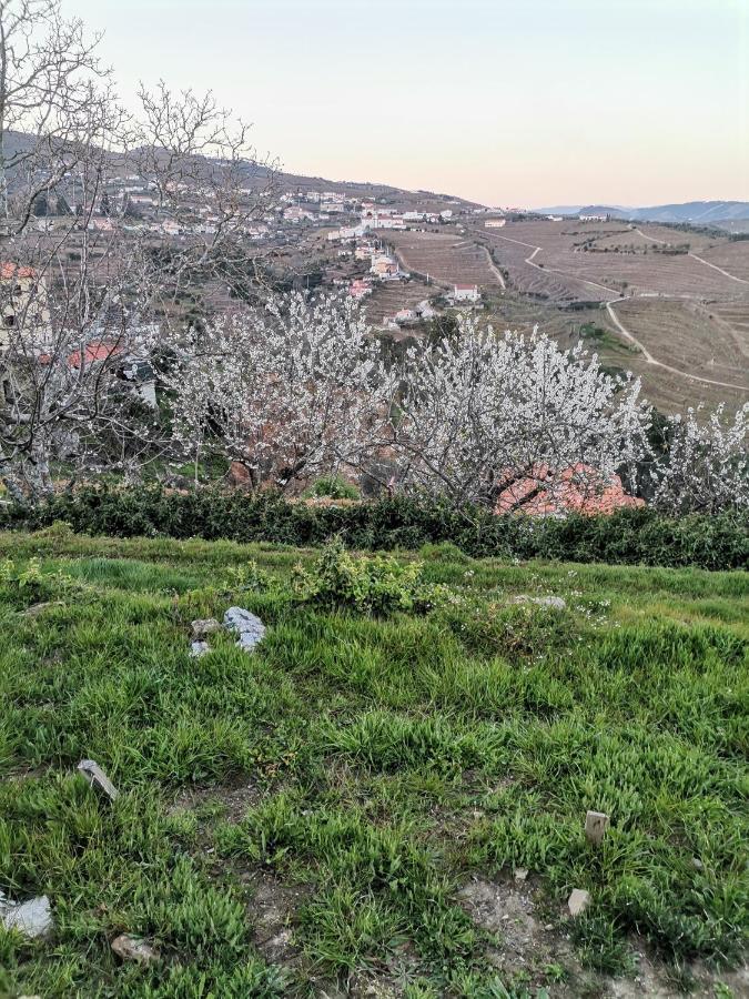 Quinta De Travassinhos- Douro Valley & Spa Santa Marta de Penaguião Exteriér fotografie