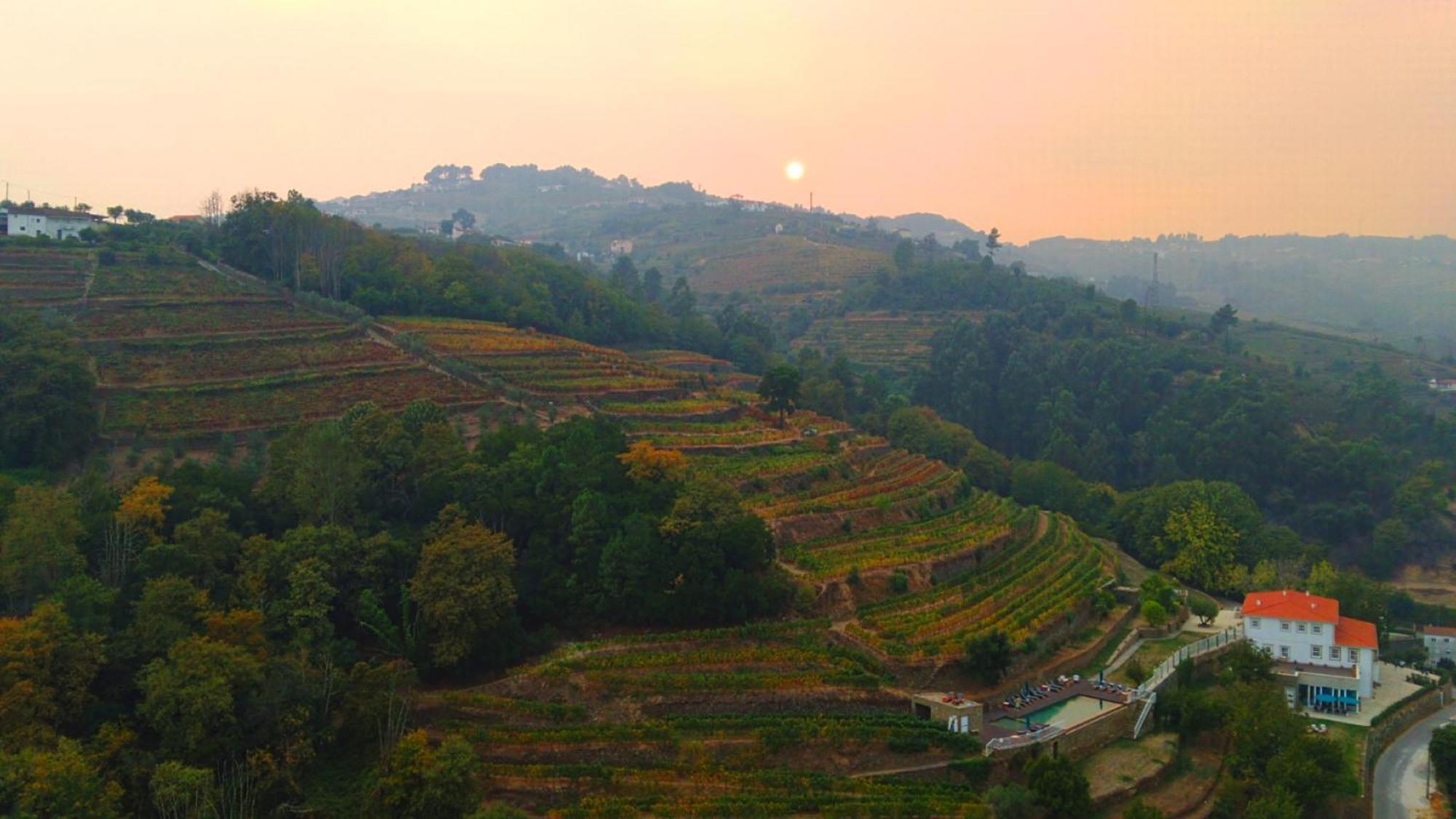 Quinta De Travassinhos- Douro Valley & Spa Santa Marta de Penaguião Exteriér fotografie